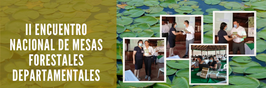 ACIF participa en el II Encuentro de Mesas Forestales Departamentales