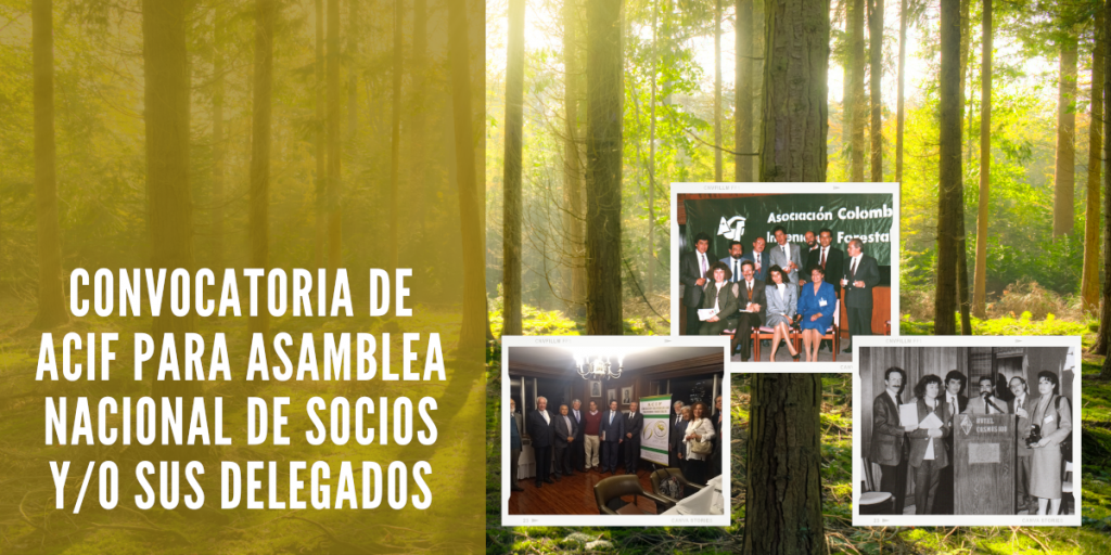 Convocatoria de ACIF para Asamblea Nacional de Socios y/o sus Delegados Convocatoria de ACIF para Asamblea Nacional de Socios y/o sus Delegados
