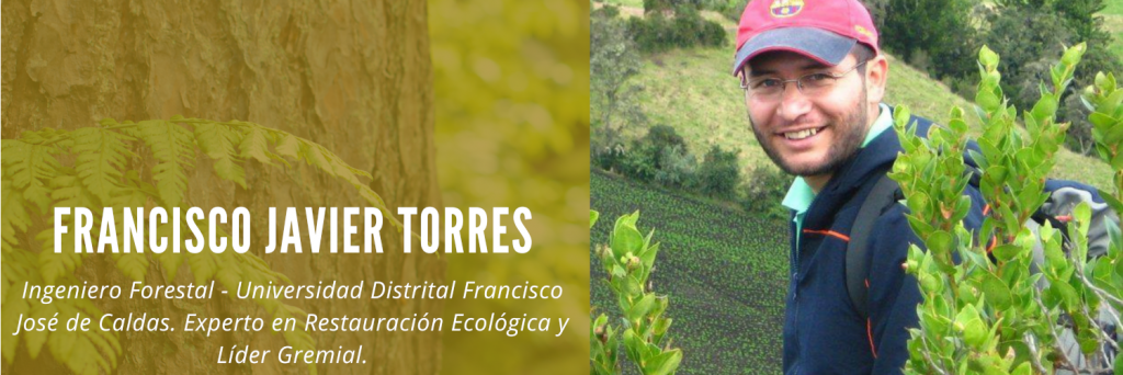 Francisco Javier Torres Romero